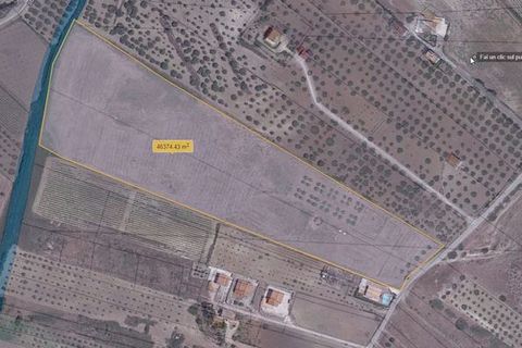 Terra a Siculiana, Agrigento, Siculiana - € 200.000 | Ref: Land Casola - foto 22